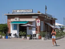 La gelateria Il Pinguino Foto Silvano