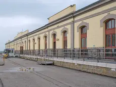 Il “contenitore” di Molo IV (Silvano)