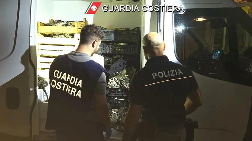 Il pescato sequestrato da Guardia Costiera e Polizia