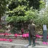 Il presidio vandalizzato in piazza Hortis