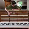 Luca Ciut, il pianista in una foto di Francesco Chiot