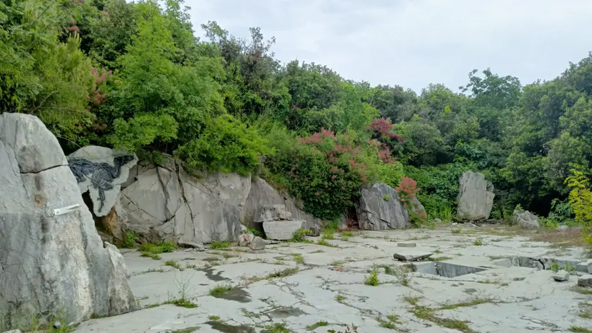 Il sito paleontologico del Villaggio del Pescatore