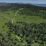 Un’immagine aerea di Monte Grisa dov’è partita la bonifica di alcuni tipi di alberature