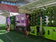 Le operazioni di cucitura del prato allo stadio Rocco foto Silvano