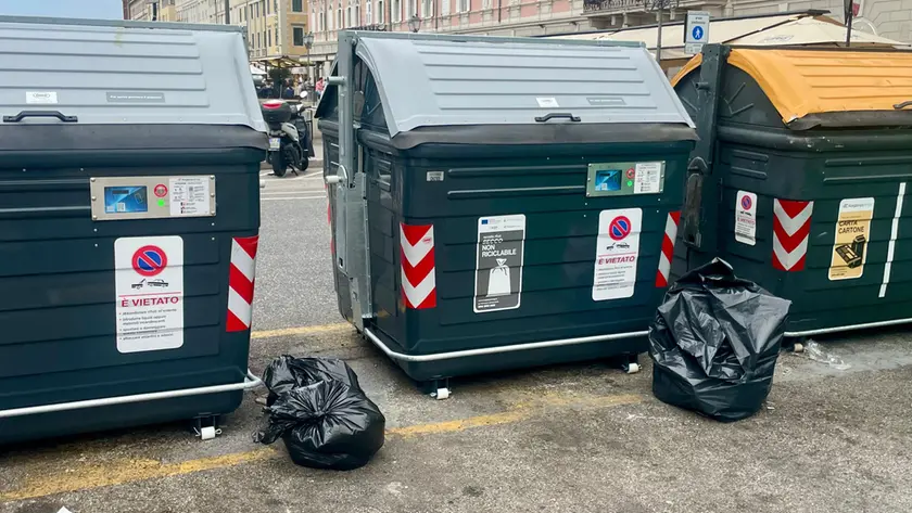 l nuovi cassonetti e rifiuti abbandonati in Ponterosso (Silvano)