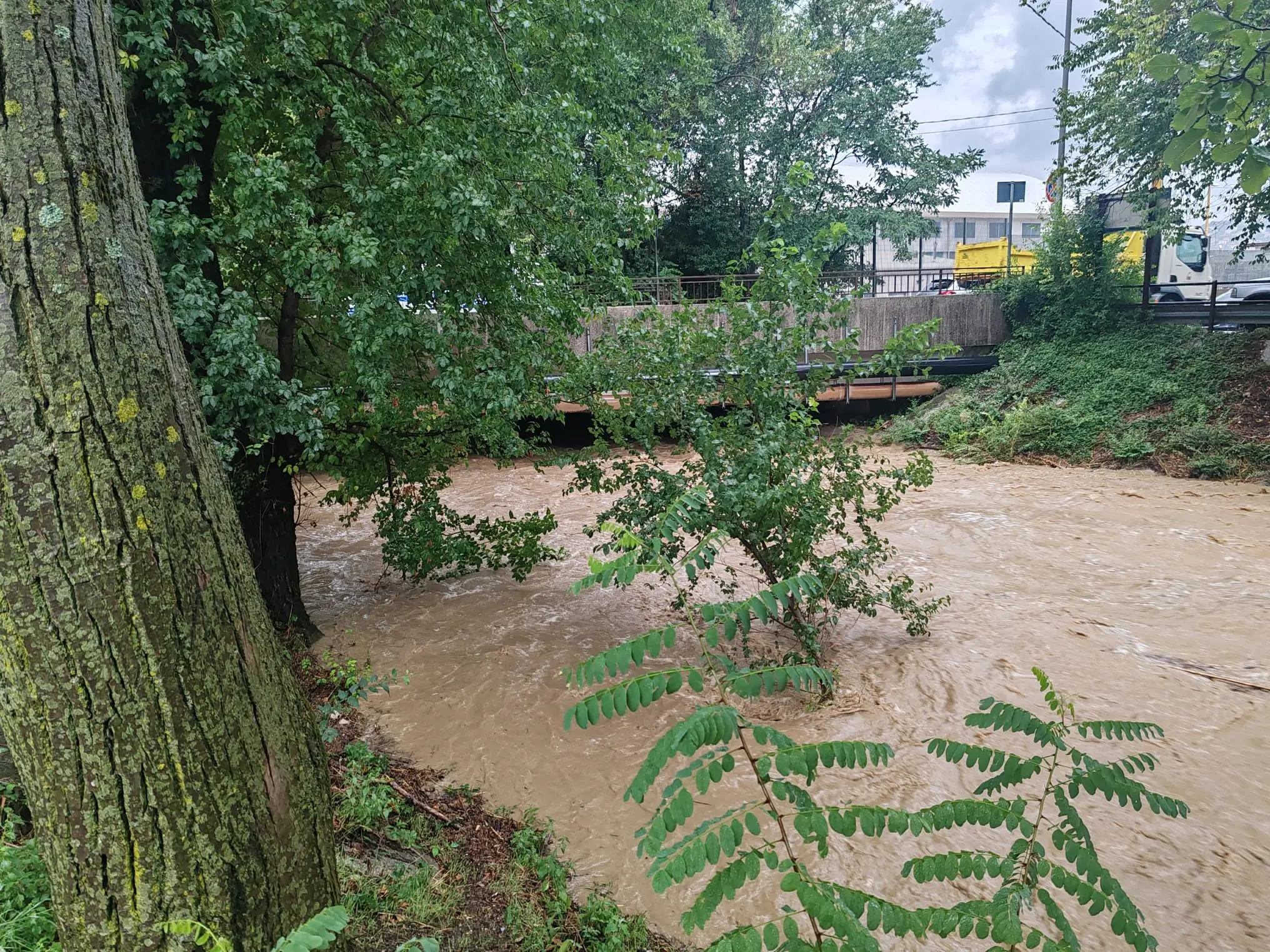 Il torrente Rosandra esondato