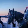 Carabinieri a cavallo