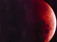 Una eclissi di Luna fotografata da Demetrio Moras nell'osservatorio di Roveredo in Piano
