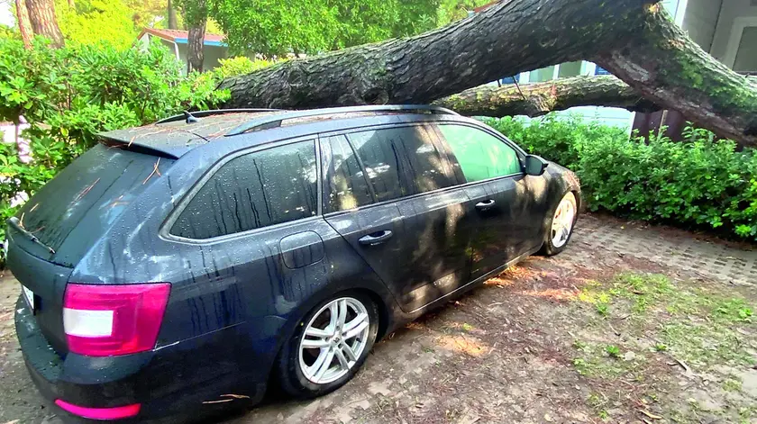 Un albero caduto su un’auto a Lignano (foto Petrussi)