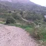 La zona di Rio Storto a Muggia dove pascolava il gregge (Lasorte)