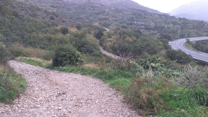 La zona di Rio Storto a Muggia dove pascolava il gregge (Lasorte)
