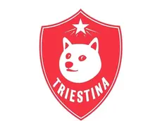 Uno dei meme circolati in rete