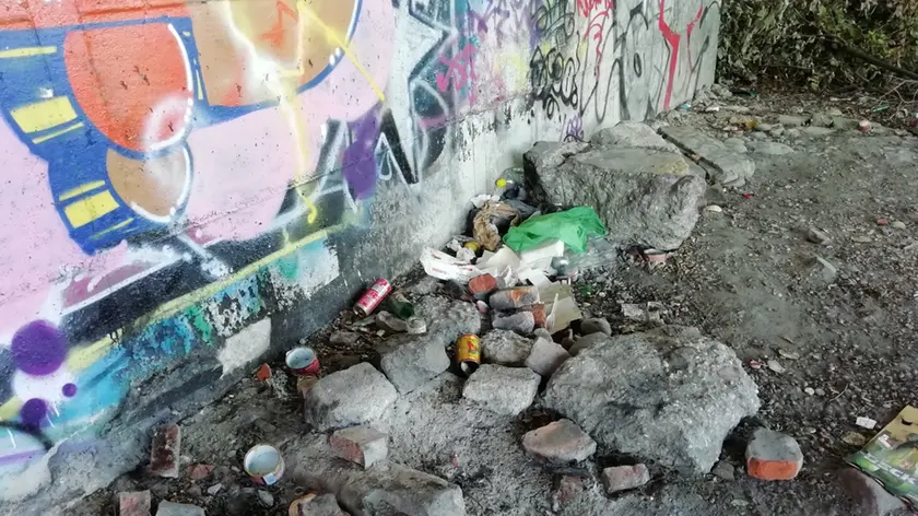 Lo stato delle rive del fiume Isonzo sotto il ponte VIII Agosto (foto Amici del Parco)