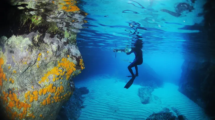 Rilievi e misurazioni sott’acqua compresi nell’attività di ricerca scientifica