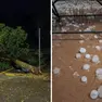 Un albero caduto a Ronchi e, a destra, chicchi di grandine a Trieste