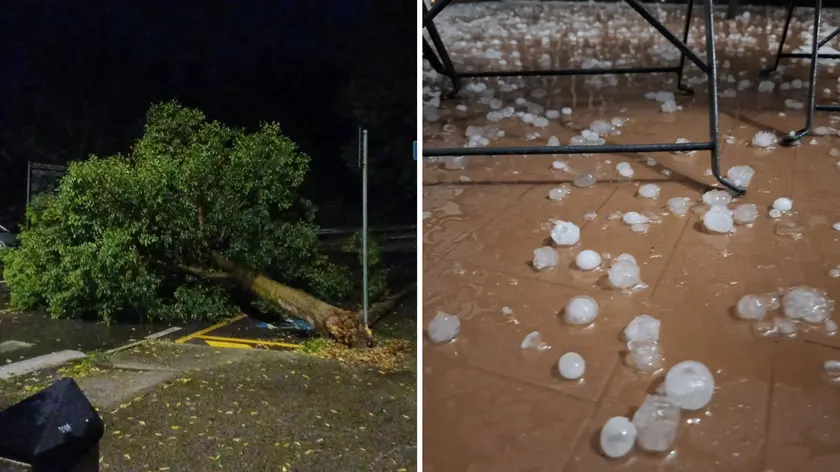 Un albero caduto a Ronchi e, a destra, chicchi di grandine a Trieste