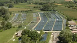 Un allevamento di trote in Friuli Venezia Giulia