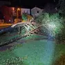 Un albero abbattuto dal forte vento a Gradisca d’Isonzo in una foto della Protezione civile