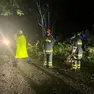 Le operazioni di messa in sicurezza della viabilità che ha coinvolto Vigili del fuoco e Protezione civile