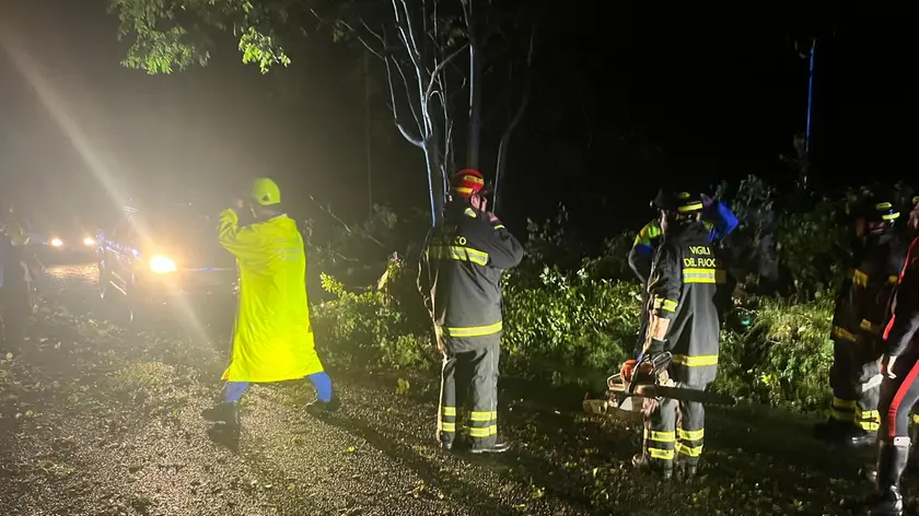 Le operazioni di messa in sicurezza della viabilità che ha coinvolto Vigili del fuoco e Protezione civile