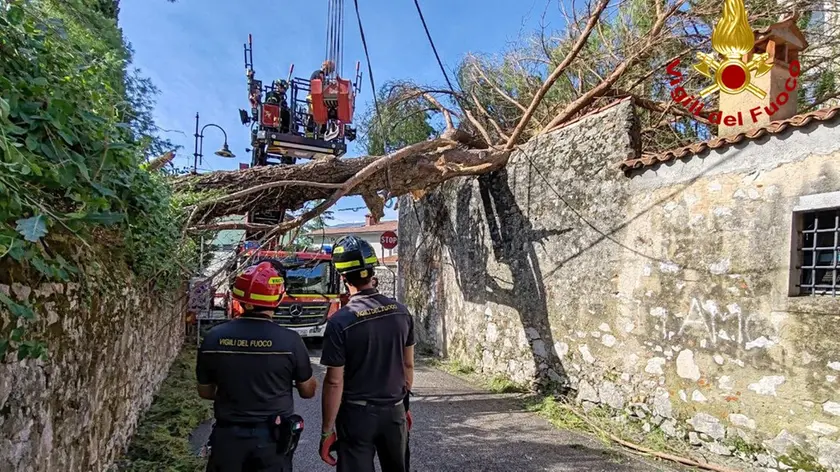 I vigili del fuoco mercoledì a Gorizia