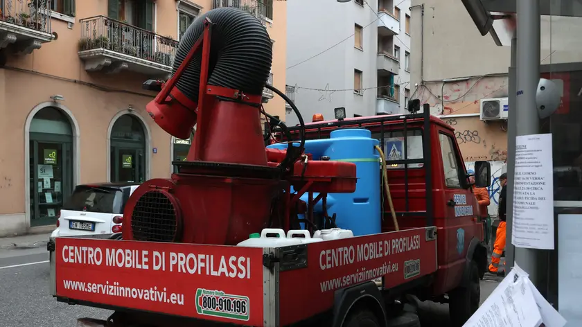 Una precedente disinfestazione a Trieste