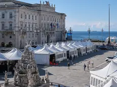 Gli stand Trieste Next in Piazza Unità, Foto Massimo Silvano