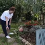 I residenti nel borgo di Contovello mostrano sconsolati i segni dei ripetuti passaggi e i danni provocati dai cinghiali (Lasorte)