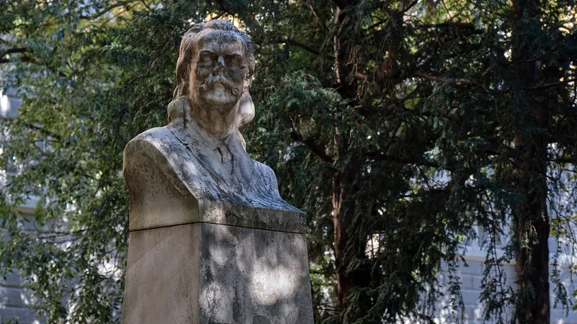 Il busto di Hortis (Silvano)