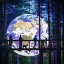 L’installazione artistica “Gaia” di Luke Jerram foto Roy Riley