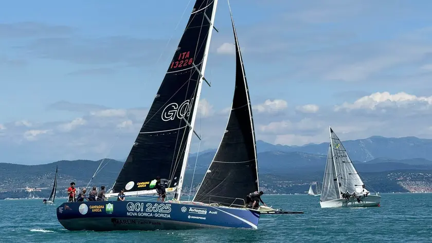 Barraonda in azione