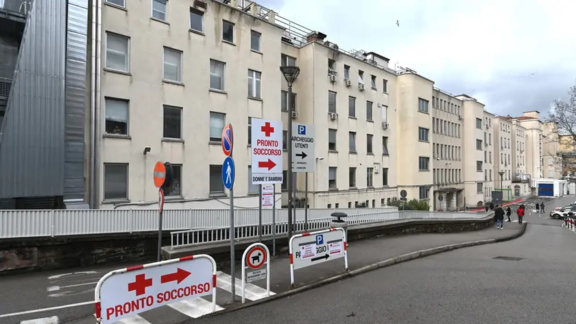 Il Burlo di Trieste