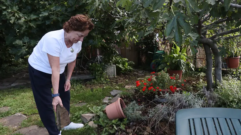 Gli effetti di una visita indesiderata dei cinghiali nel giardino di un’abitazione a Contovello Foto Lasorte