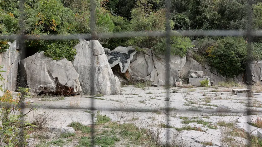 Il sito paleontologico sbarrato (Lasorte)