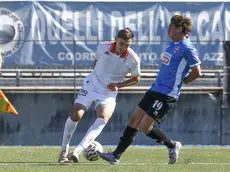 Il 19enne attaccante biancorosso Noa Kljajic Foto Mariani/Lasorte