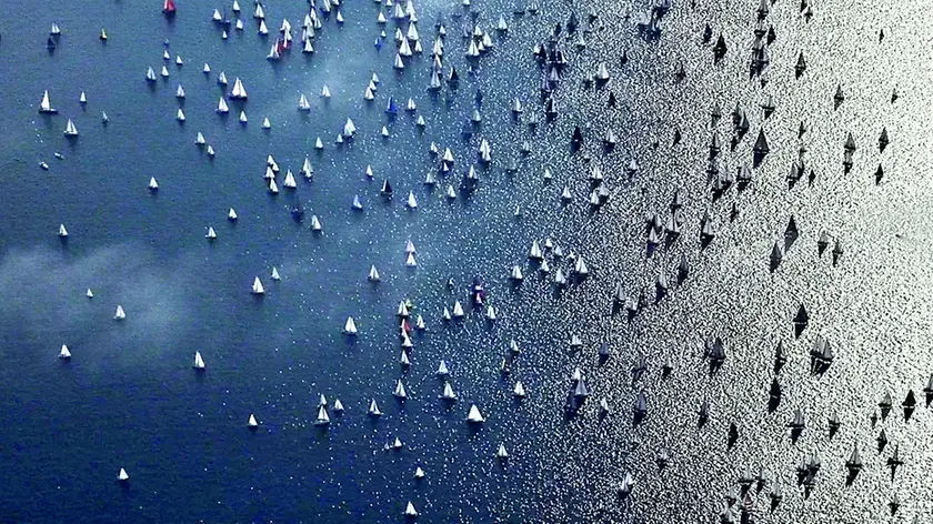 Lo spettacolo delle vele nella Barcolana (Studio Borlenghi)