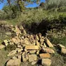 Un muro a secco abbattuto nella zona fra Lazzaretto e Muggia Vecchia