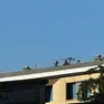 I cecchini sul tetto dell'hotel Friuli a Udine