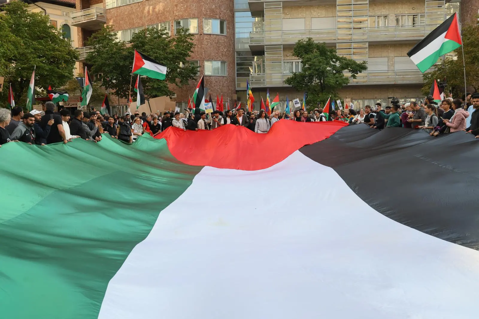 Migliaia di persone con la bandiera della Palestina che sventola e dà il via: è partito da piazza della Repubblica il corteo ProPal. I manifestanti attraverseranno il centro di Udine per dirigersi in piazza Primo Maggio. "Free Palestine", "fermate il genocidio" tra i cori dei partecipanti all'evento che, secondo gli organizzatori, sono oltre 10 mila.