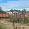 Il luogo dell'incidente a Begliano (Bonaventura)