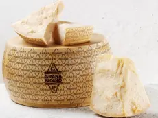 "Grana" solo per il Grana Padano: la sentenza che rafforza la protezione della DOP
