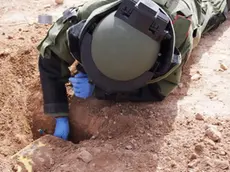 Un ordigno bellico della Seconda Guerra Mondiale sarà disinnescato il 19 ottobre a Verona