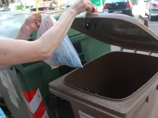 Un cestino delle immondizie in una foto d'archivio