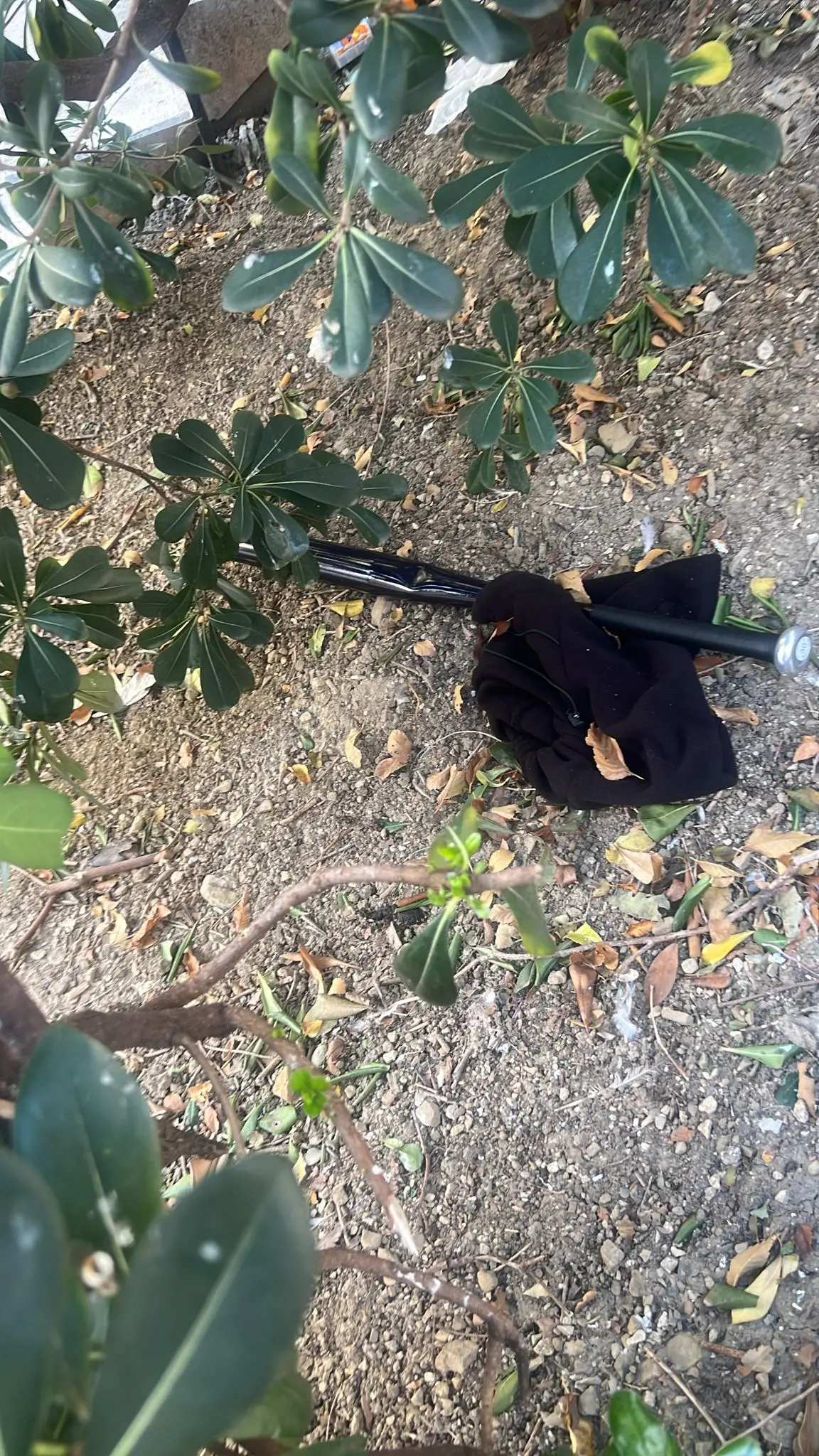 Una mazza e un indumento trovati alla base di scala dei Cappuccini