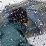 Un'intensa perturbazione atlantica porterà a un rapido cambiamento del meteo in Fvg