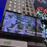 Il video con le immagini di Duino Aurisina a Manhattan