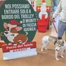 Pannolino per i cani in visita al villaggio di Natale del Garden Center di Villorba