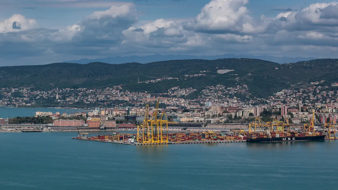 Una veduta del Molo VII in concessione a Trieste Marine Terminal, società controllata da Msc con una quota dell’80%