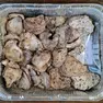 Le ostriche rinvenute nella grotta carsica