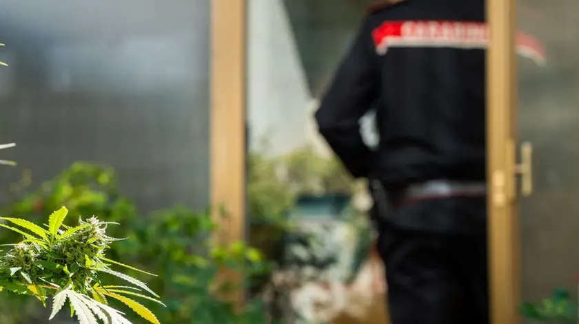 (foto Carabinieri)
